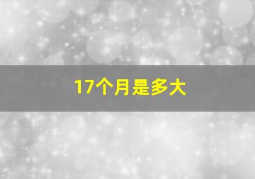 17个月是多大