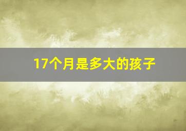 17个月是多大的孩子