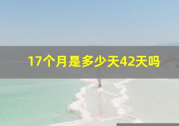 17个月是多少天42天吗