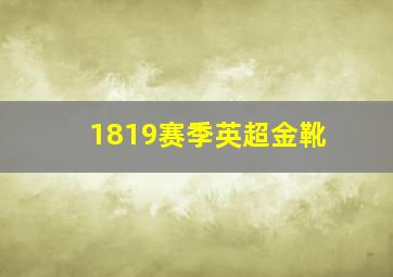 1819赛季英超金靴