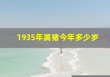 1935年属猪今年多少岁