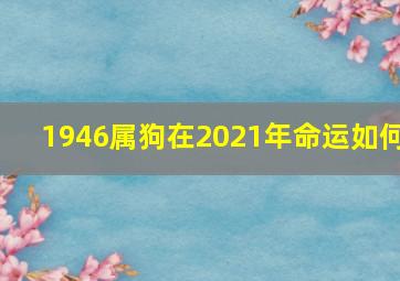 1946属狗在2021年命运如何