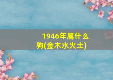 1946年属什么狗(金木水火土)