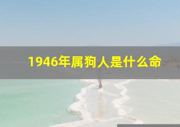 1946年属狗人是什么命