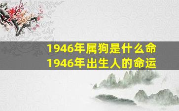 1946年属狗是什么命1946年出生人的命运