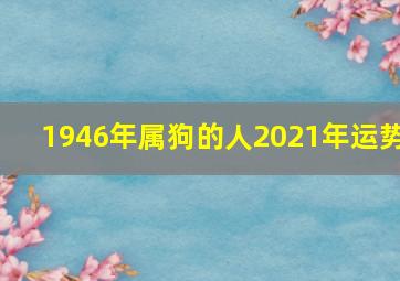 1946年属狗的人2021年运势