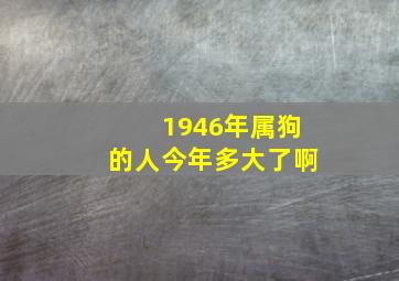 1946年属狗的人今年多大了啊