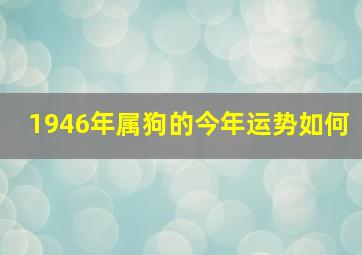 1946年属狗的今年运势如何