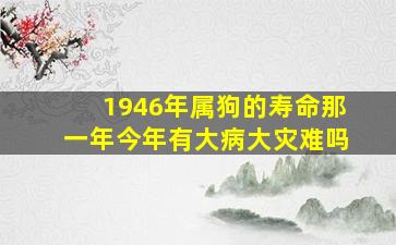 1946年属狗的寿命那一年今年有大病大灾难吗