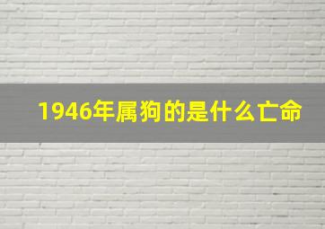 1946年属狗的是什么亡命