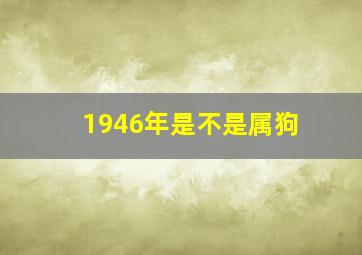 1946年是不是属狗