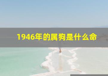 1946年的属狗是什么命