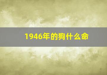 1946年的狗什么命