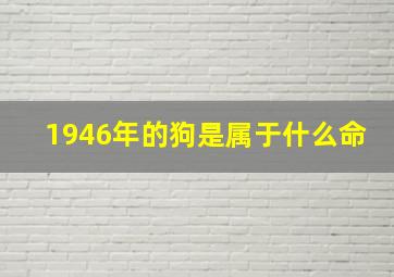 1946年的狗是属于什么命