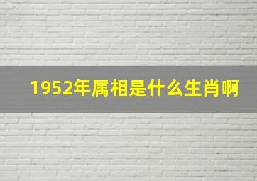 1952年属相是什么生肖啊