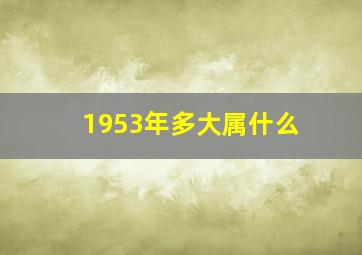 1953年多大属什么