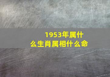 1953年属什么生肖属相什么命