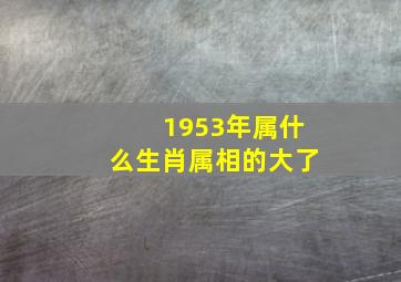 1953年属什么生肖属相的大了