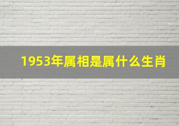 1953年属相是属什么生肖