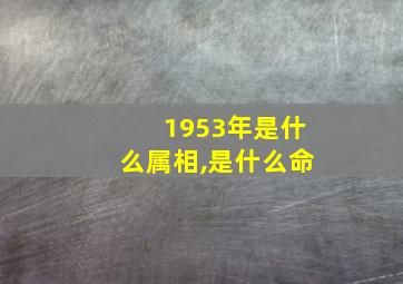 1953年是什么属相,是什么命