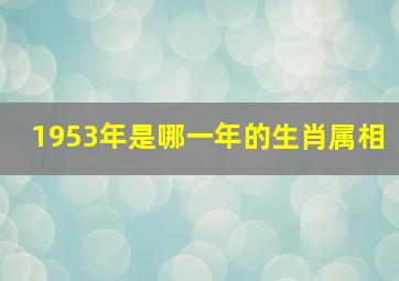 1953年是哪一年的生肖属相