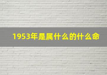 1953年是属什么的什么命