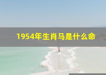 1954年生肖马是什么命