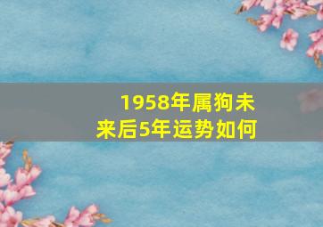 1958年属狗未来后5年运势如何