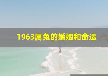 1963属兔的婚姻和命运