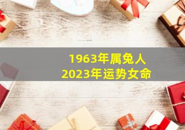 1963年属兔人2023年运势女命