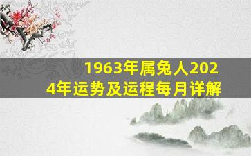 1963年属兔人2024年运势及运程每月详解