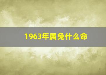 1963年属兔什么命