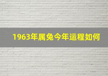 1963年属兔今年运程如何