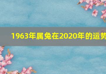 1963年属兔在2020年的运势