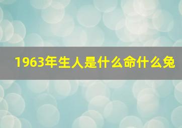 1963年生人是什么命什么兔