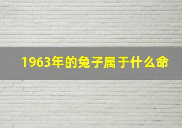 1963年的兔子属于什么命