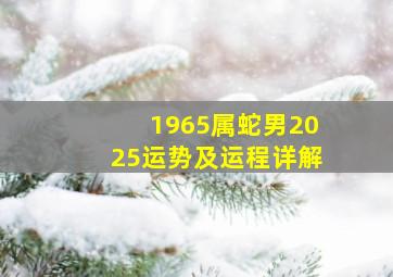 1965属蛇男2025运势及运程详解