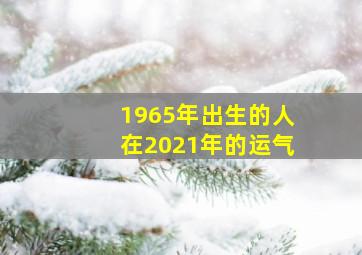 1965年出生的人在2021年的运气