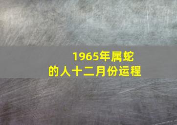 1965年属蛇的人十二月份运程