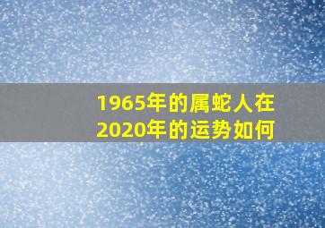 1965年的属蛇人在2020年的运势如何