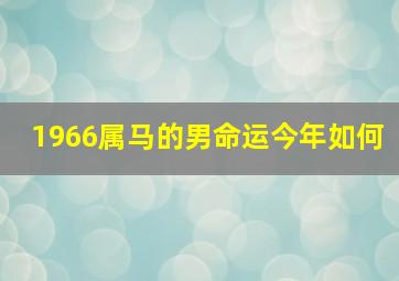 1966属马的男命运今年如何