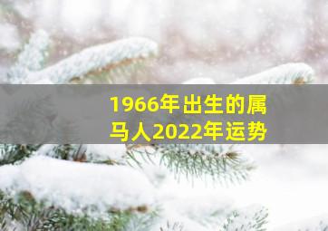 1966年出生的属马人2022年运势