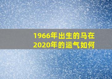 1966年出生的马在2020年的运气如何