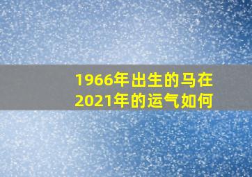 1966年出生的马在2021年的运气如何