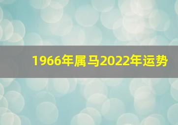 1966年属马2022年运势