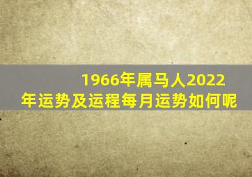 1966年属马人2022年运势及运程每月运势如何呢