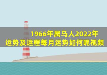 1966年属马人2022年运势及运程每月运势如何呢视频