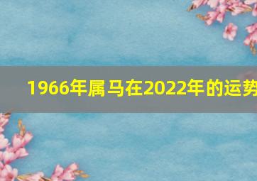 1966年属马在2022年的运势