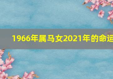 1966年属马女2021年的命运