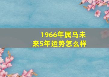 1966年属马未来5年运势怎么样